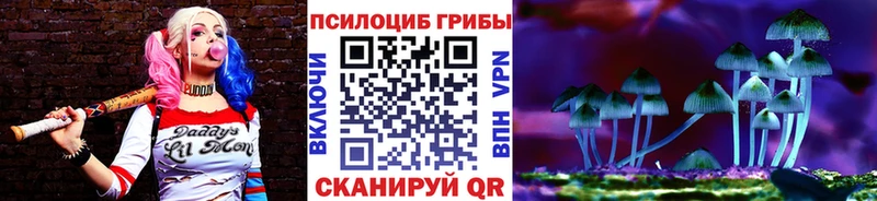Псилоцибиновые грибы мицелий  Похвистнево 